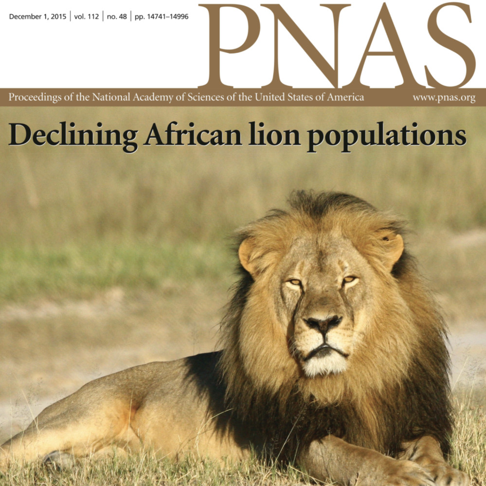 cover pnas-lion