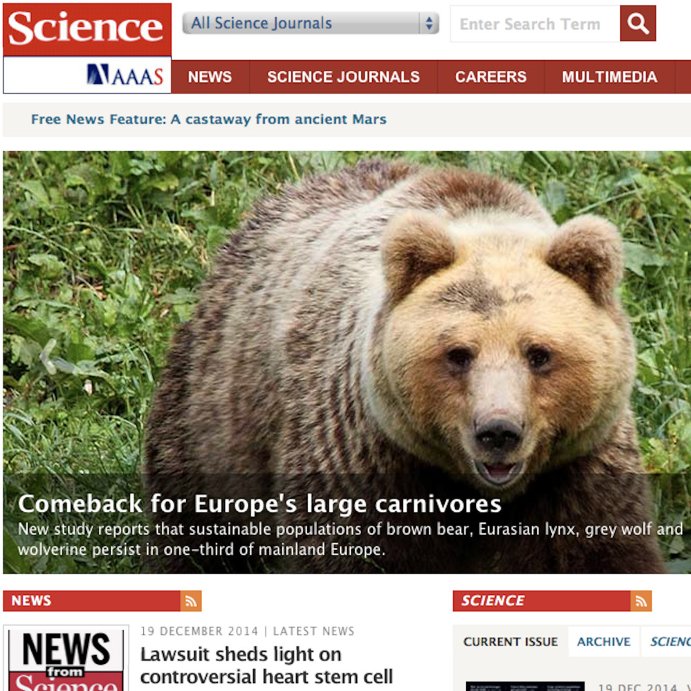 cover science-recovery