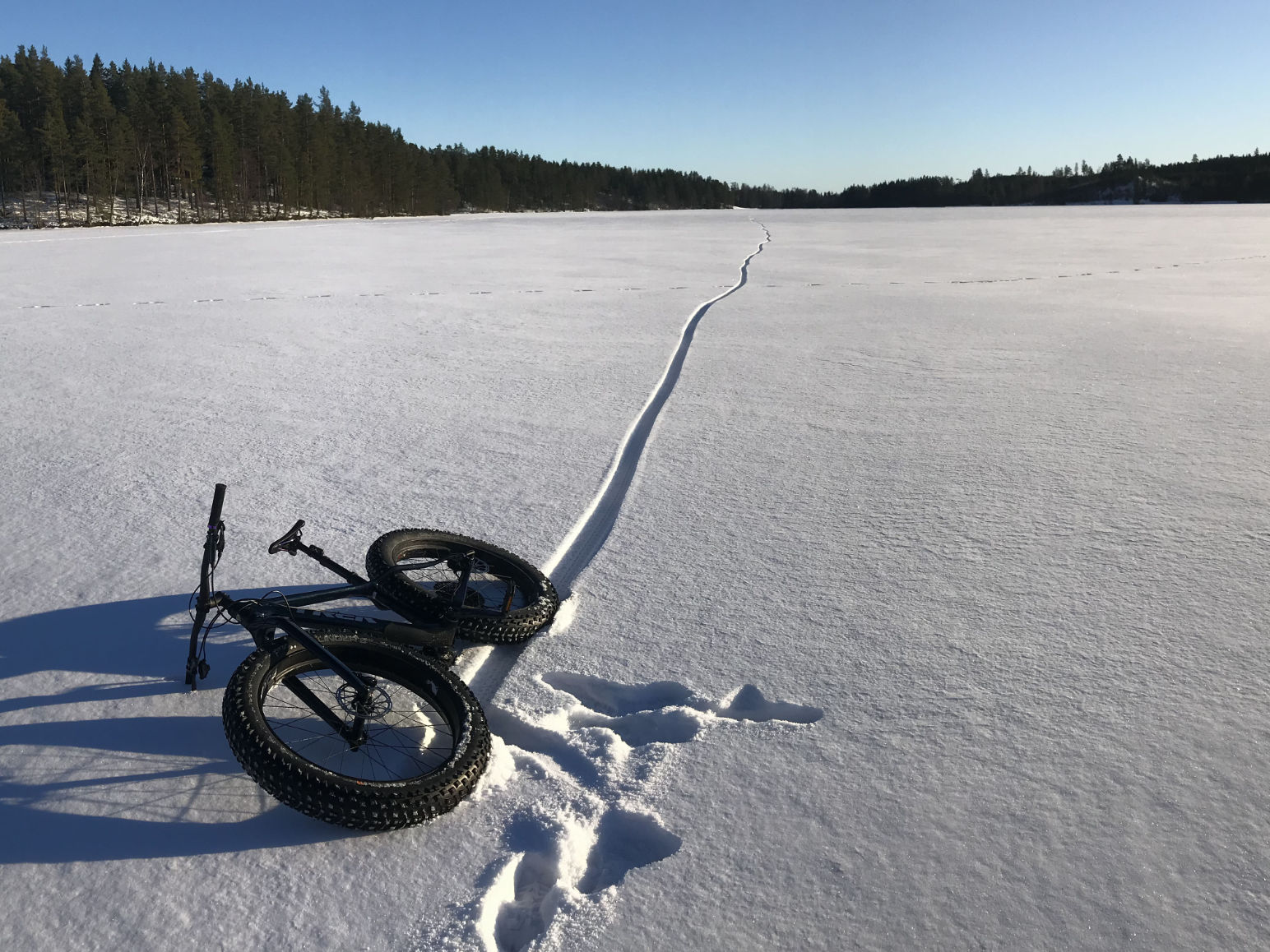 placeholder image-sq