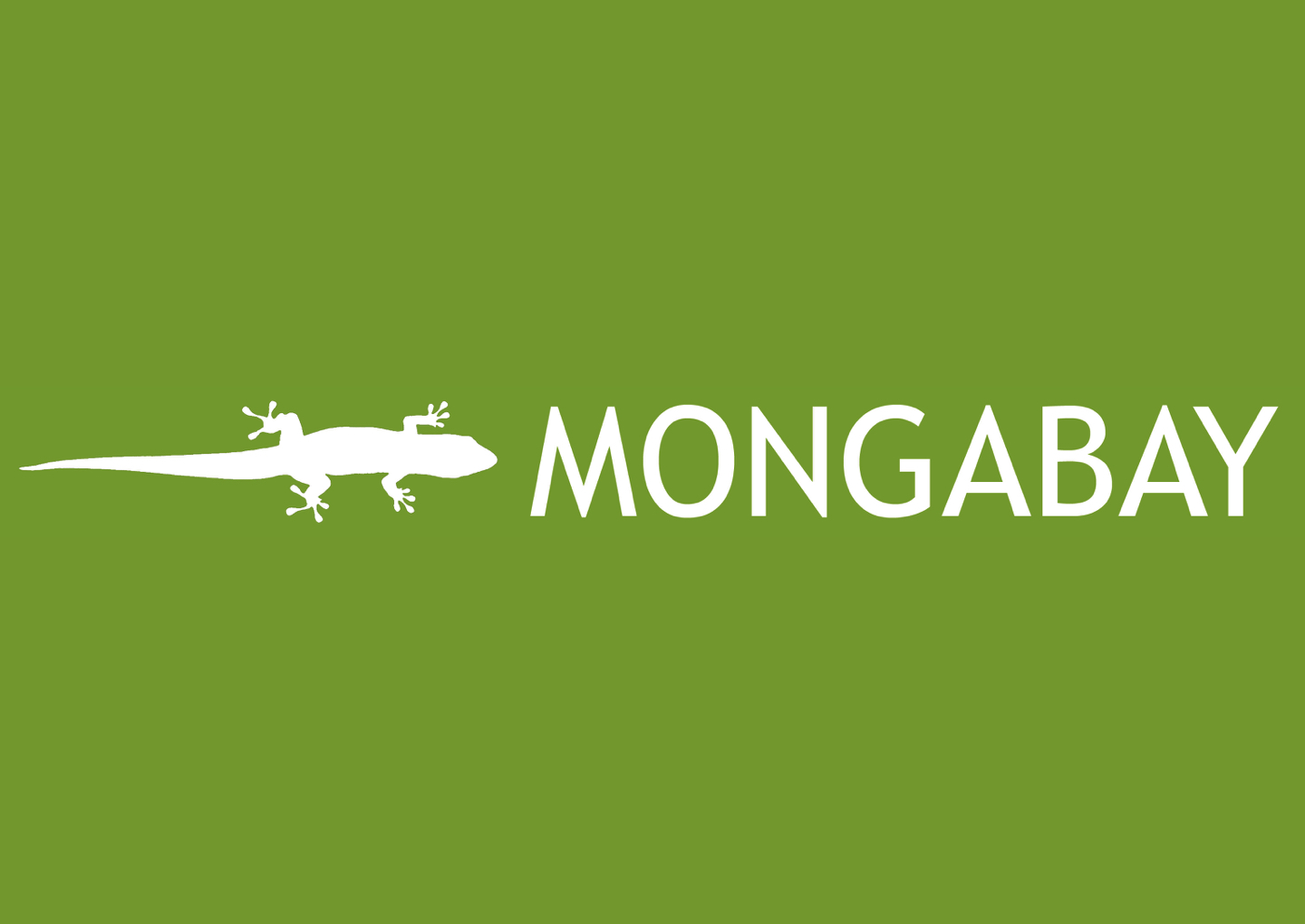 logo en-mongabay.jpeg