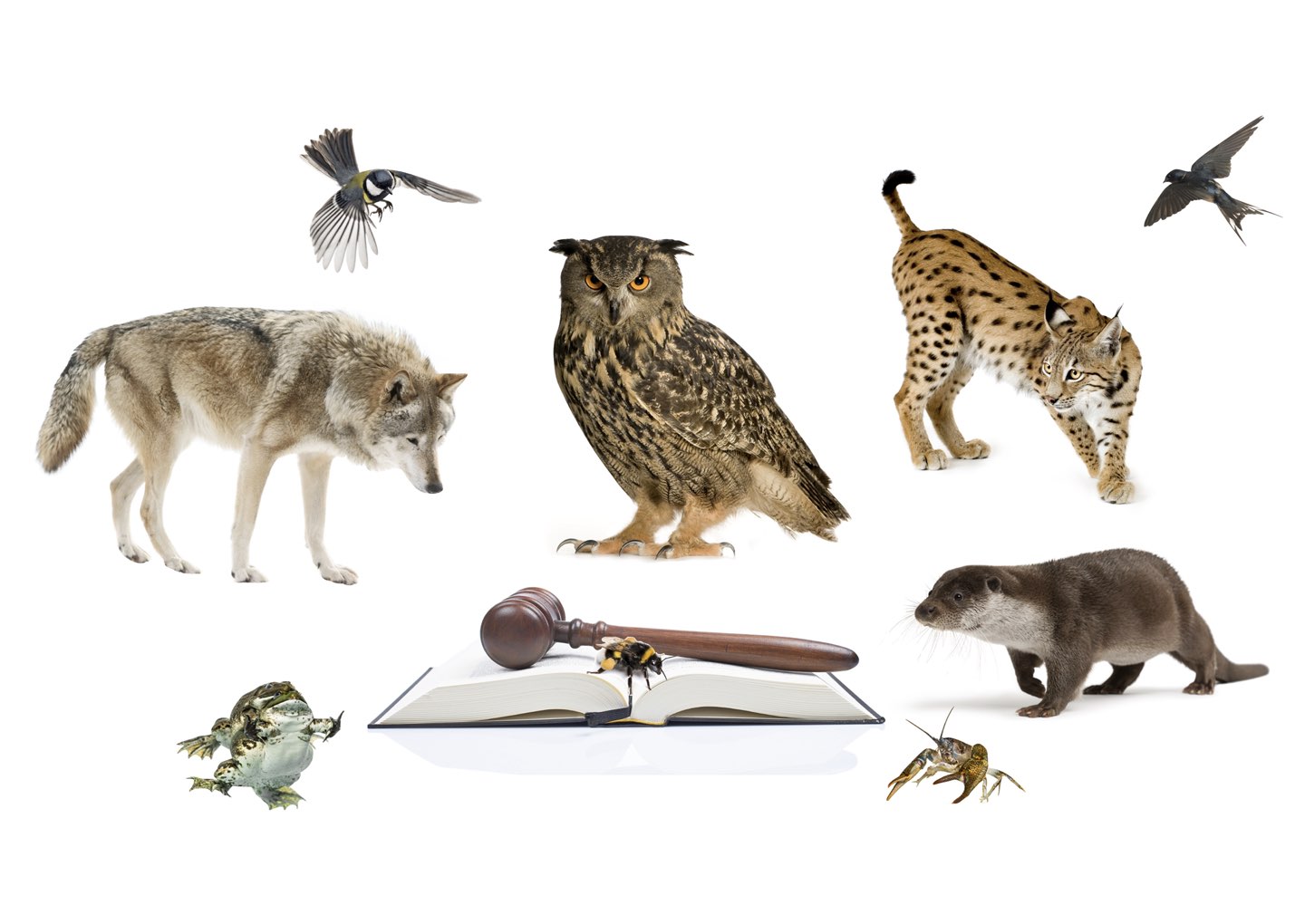 paper megafauna.jpeg