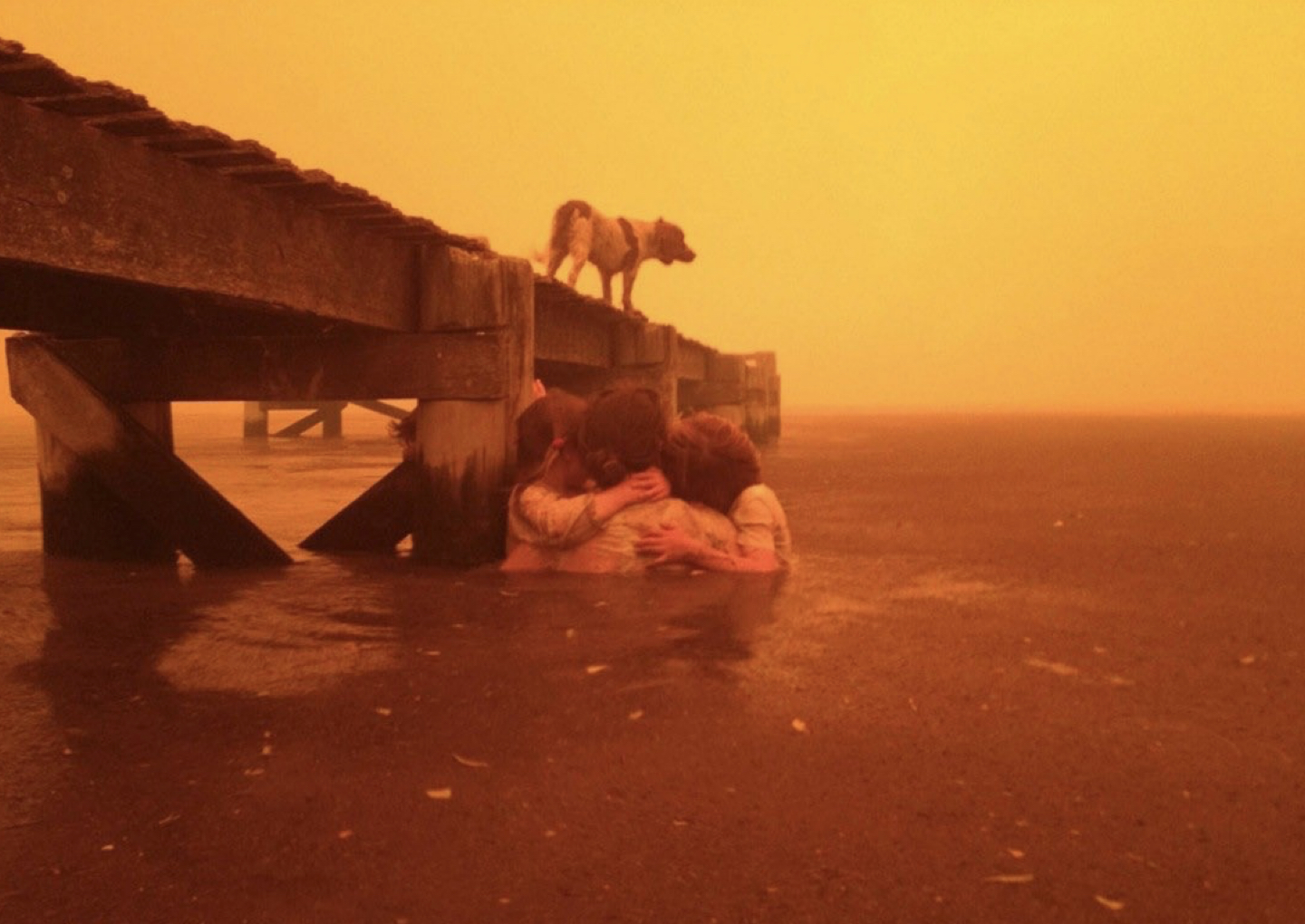 paper megafauna.jpeg