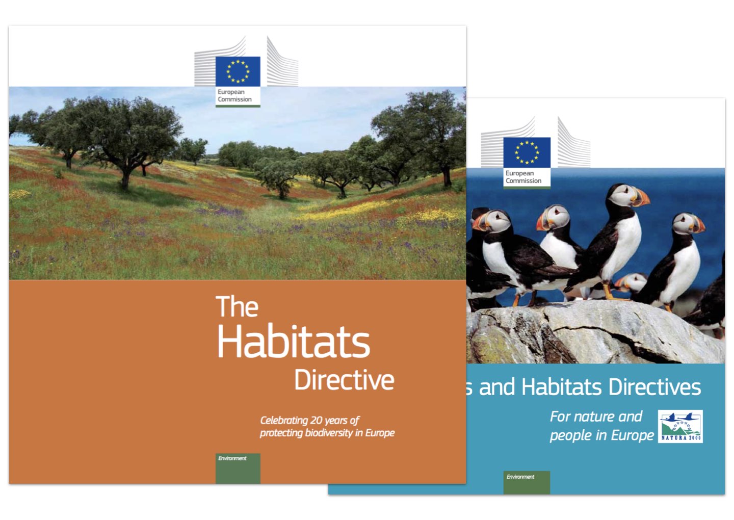 paper directives.jpeg