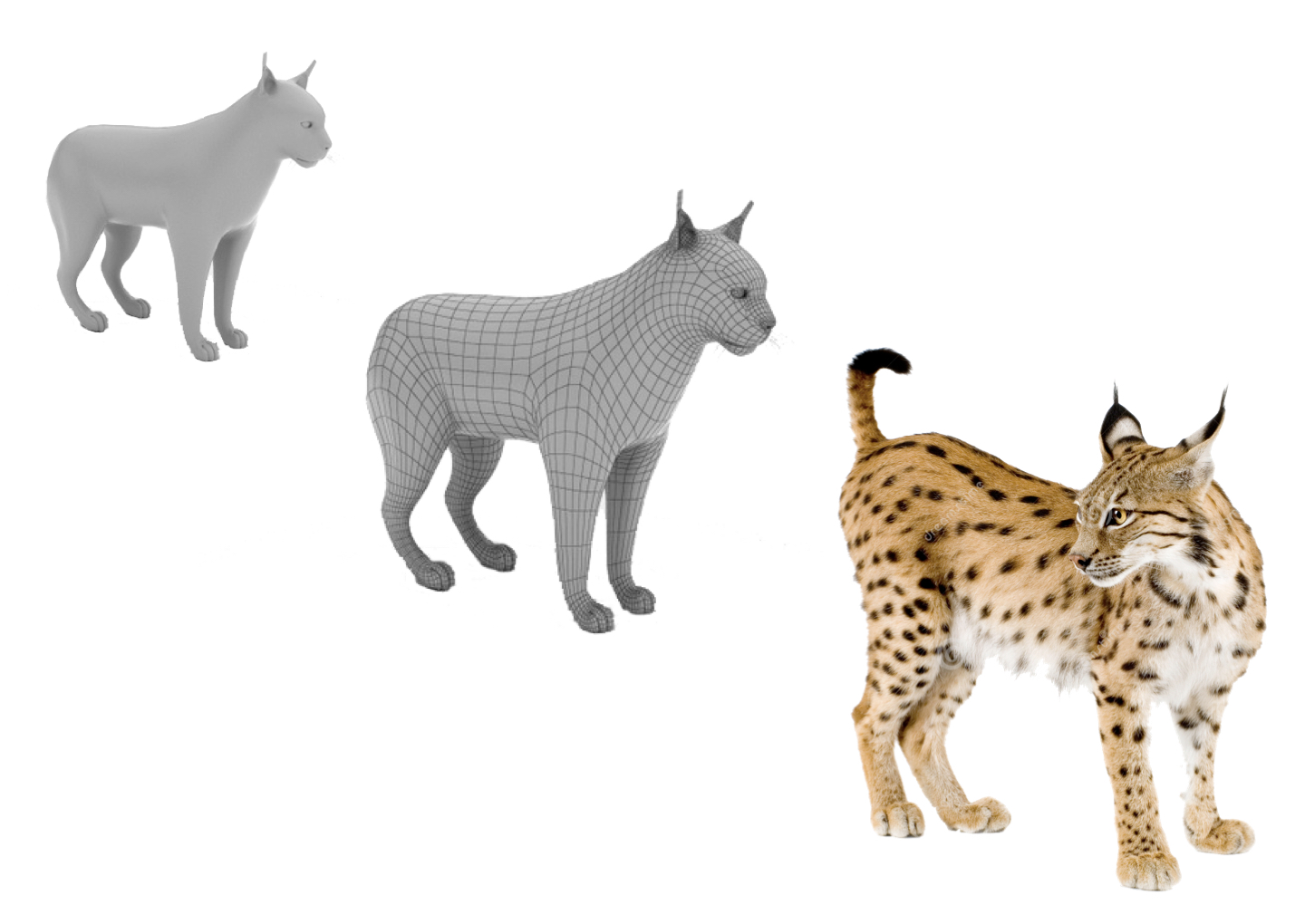 research models.jpeg