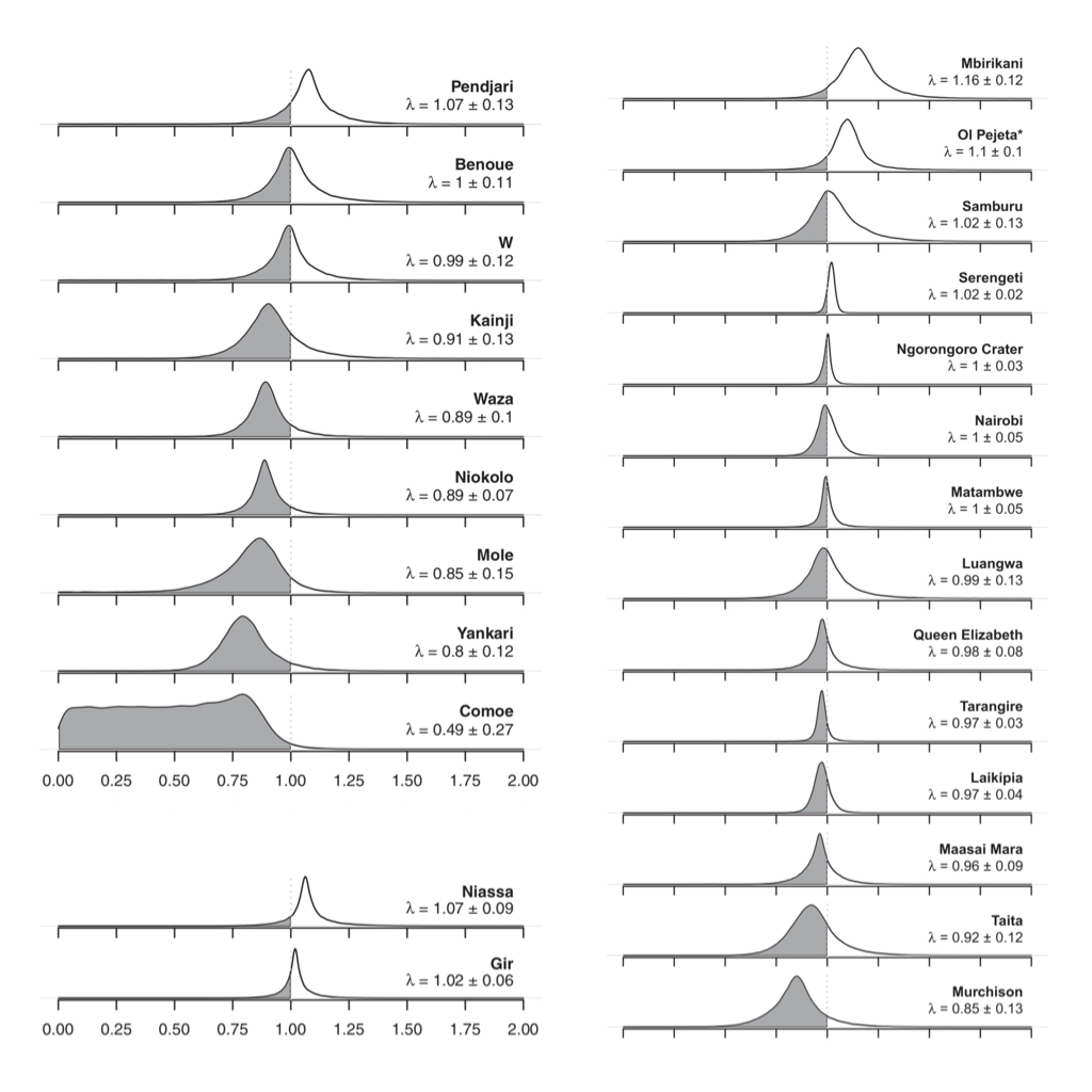 research pnaslion.jpeg