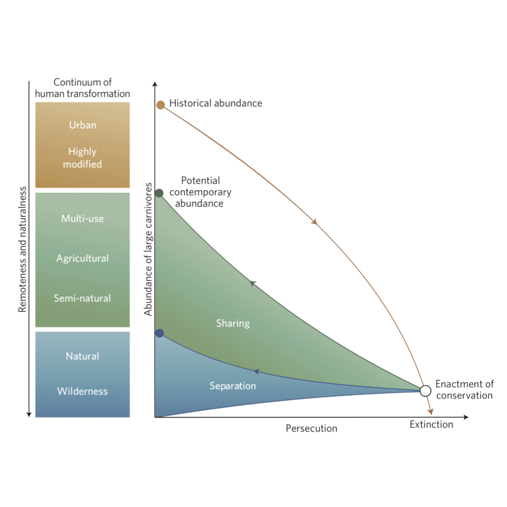 research recovery.jpeg