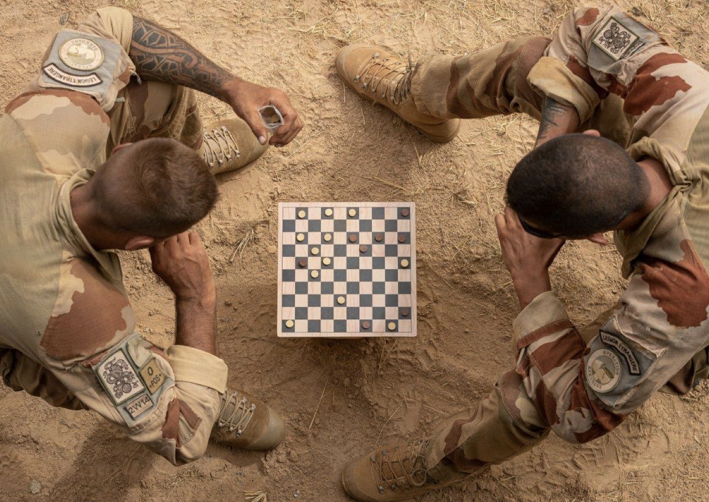 paper megafauna.jpeg